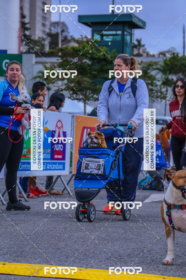 Buy your photos of the event6 Corrida do Shopping Aricanduva on Fotop