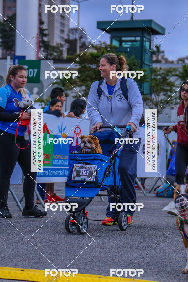 Buy your photos of the event6 Corrida do Shopping Aricanduva on Fotop