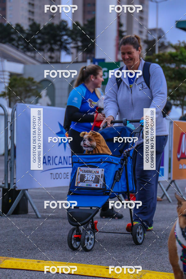 Buy your photos of the event6 Corrida do Shopping Aricanduva on Fotop
