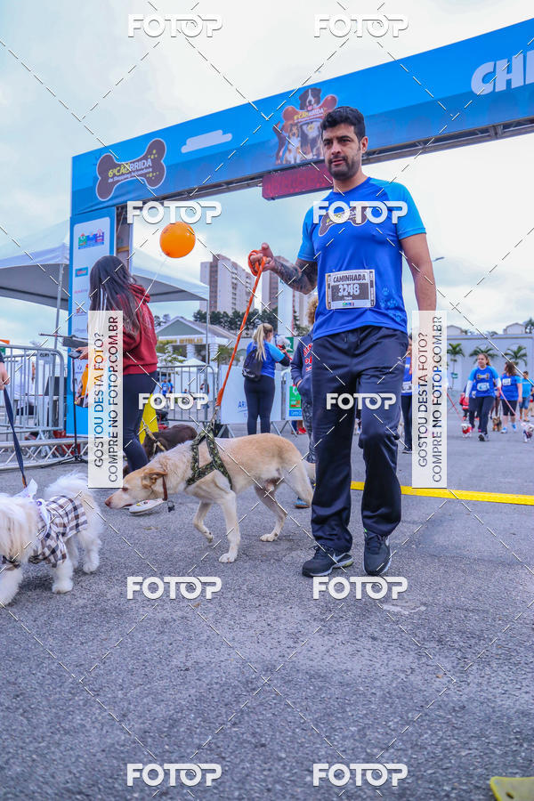 Buy your photos of the event6 Corrida do Shopping Aricanduva on Fotop