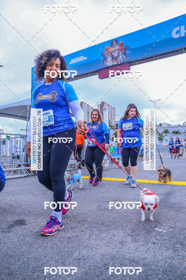 Buy your photos of the event6 Corrida do Shopping Aricanduva on Fotop