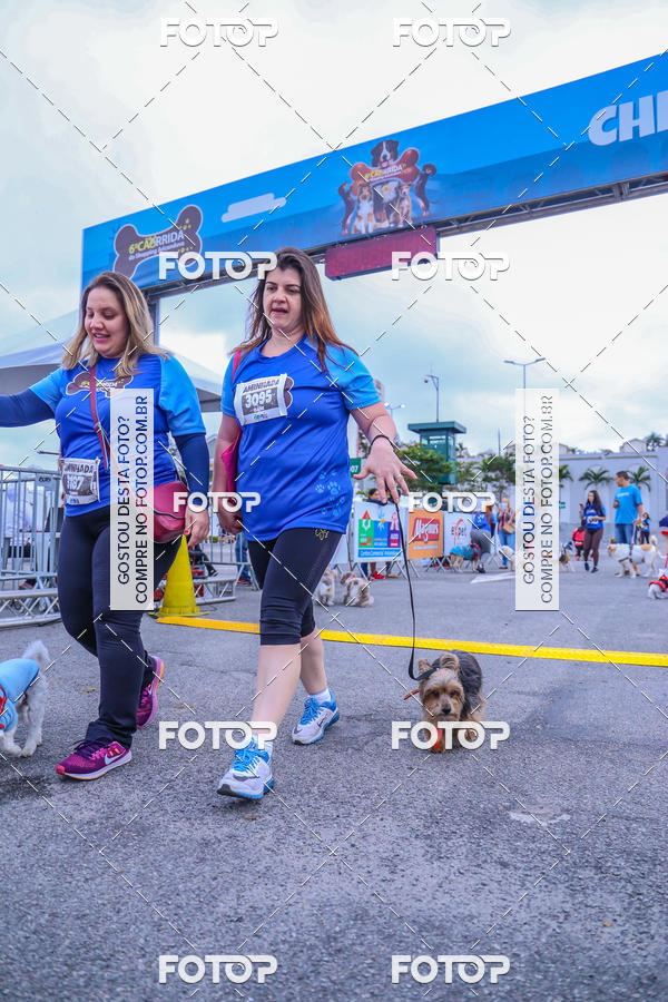 Buy your photos of the event6 Corrida do Shopping Aricanduva on Fotop