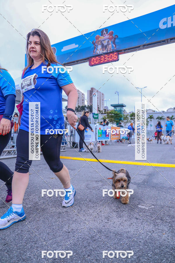 Buy your photos of the event6 Corrida do Shopping Aricanduva on Fotop