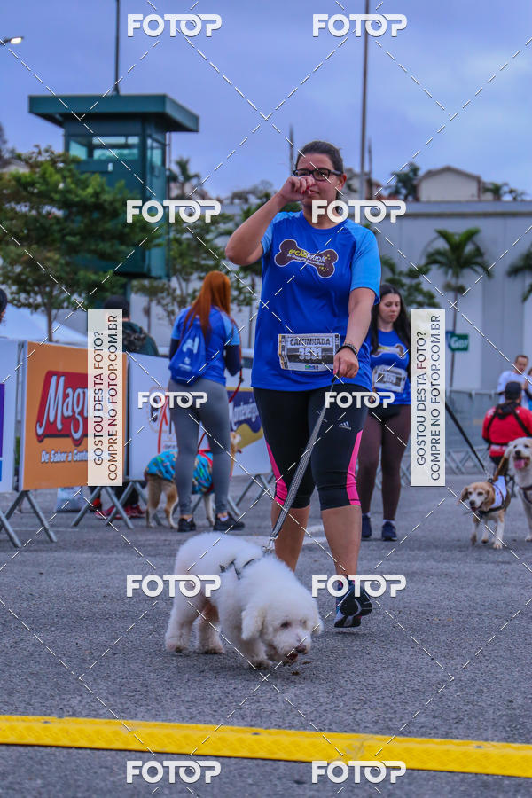 Buy your photos of the event6 Corrida do Shopping Aricanduva on Fotop