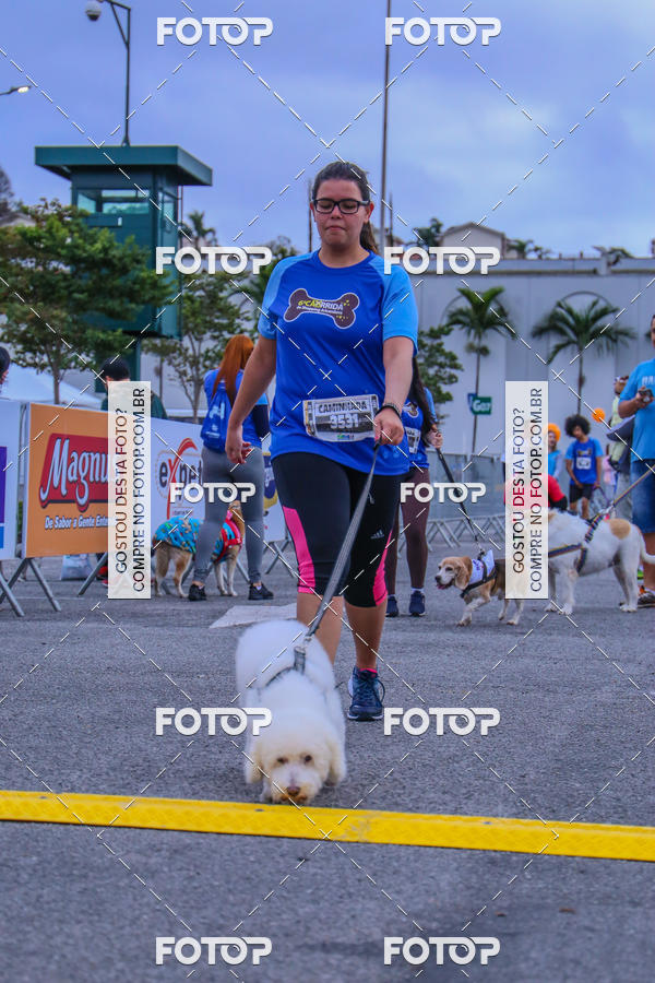Buy your photos of the event6 Corrida do Shopping Aricanduva on Fotop