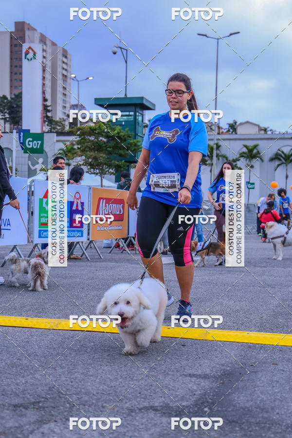 Buy your photos of the event6 Corrida do Shopping Aricanduva on Fotop