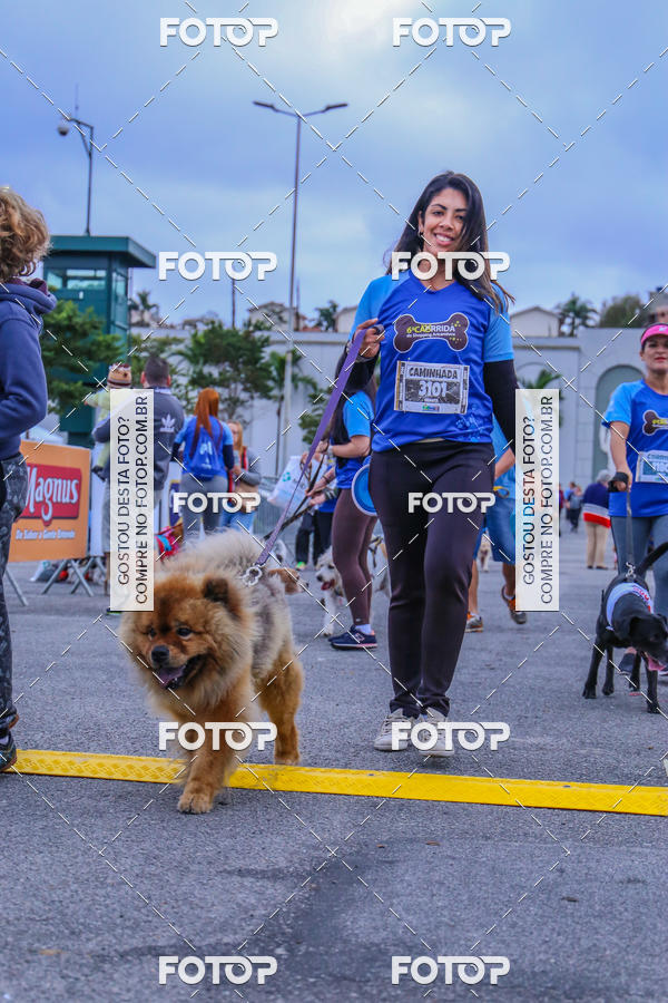 Buy your photos of the event6 Corrida do Shopping Aricanduva on Fotop