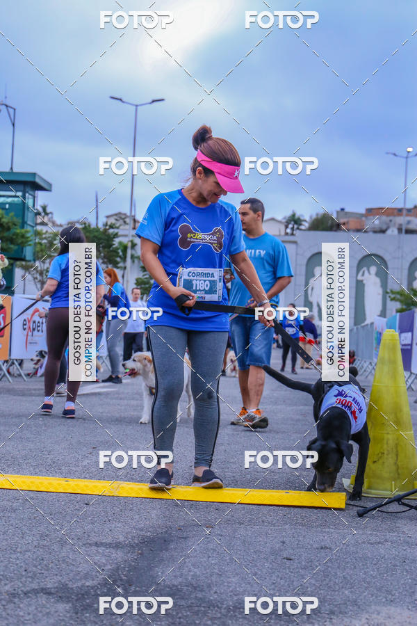 Buy your photos of the event6 Corrida do Shopping Aricanduva on Fotop