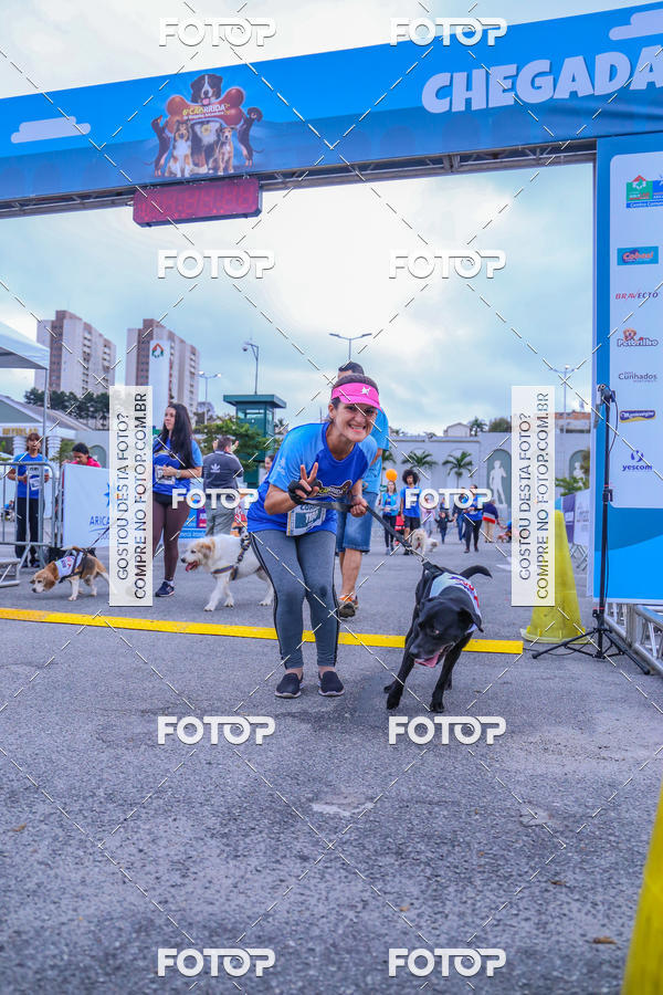 Buy your photos of the event6 Corrida do Shopping Aricanduva on Fotop