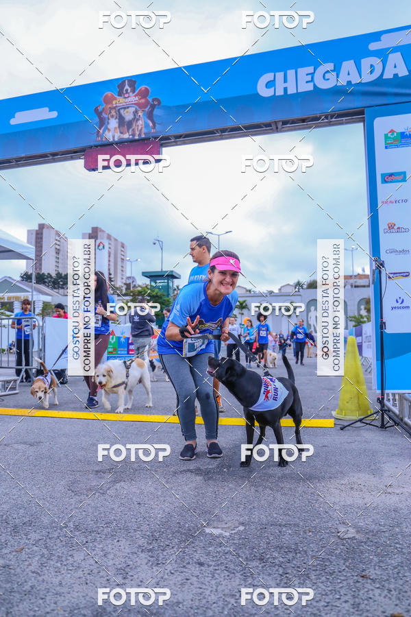 Buy your photos of the event6 Corrida do Shopping Aricanduva on Fotop