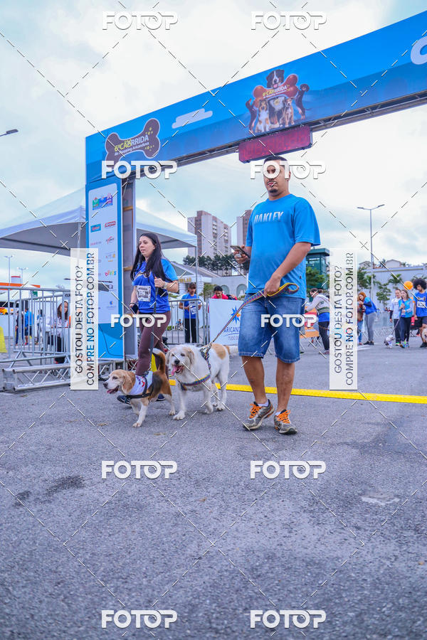Buy your photos of the event6 Corrida do Shopping Aricanduva on Fotop