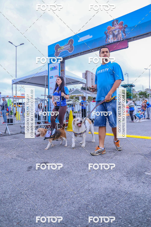 Buy your photos of the event6 Corrida do Shopping Aricanduva on Fotop
