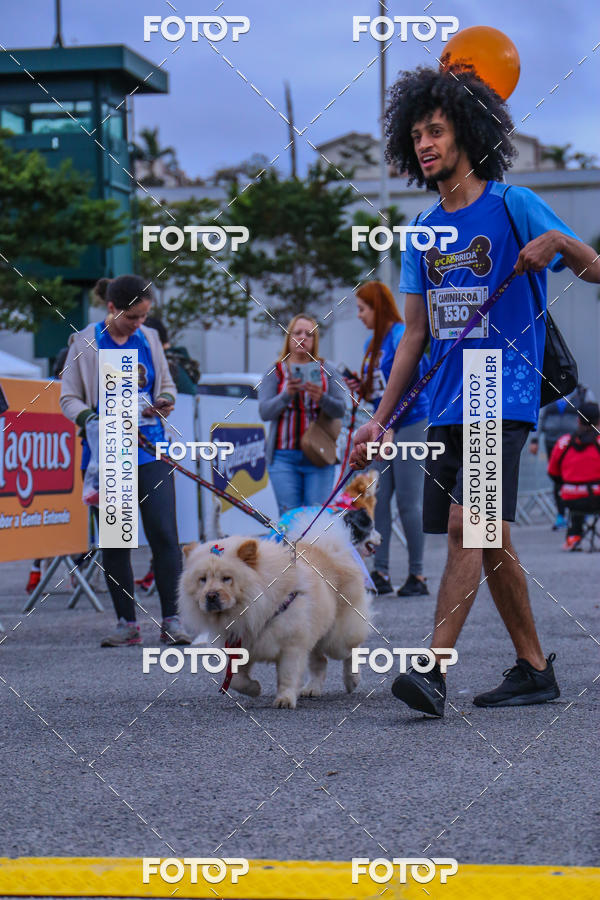 Buy your photos of the event6 Corrida do Shopping Aricanduva on Fotop
