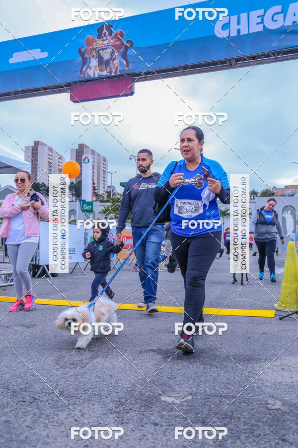 Buy your photos of the event6 Corrida do Shopping Aricanduva on Fotop