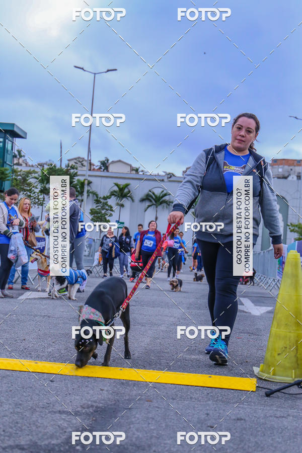 Buy your photos of the event6 Corrida do Shopping Aricanduva on Fotop