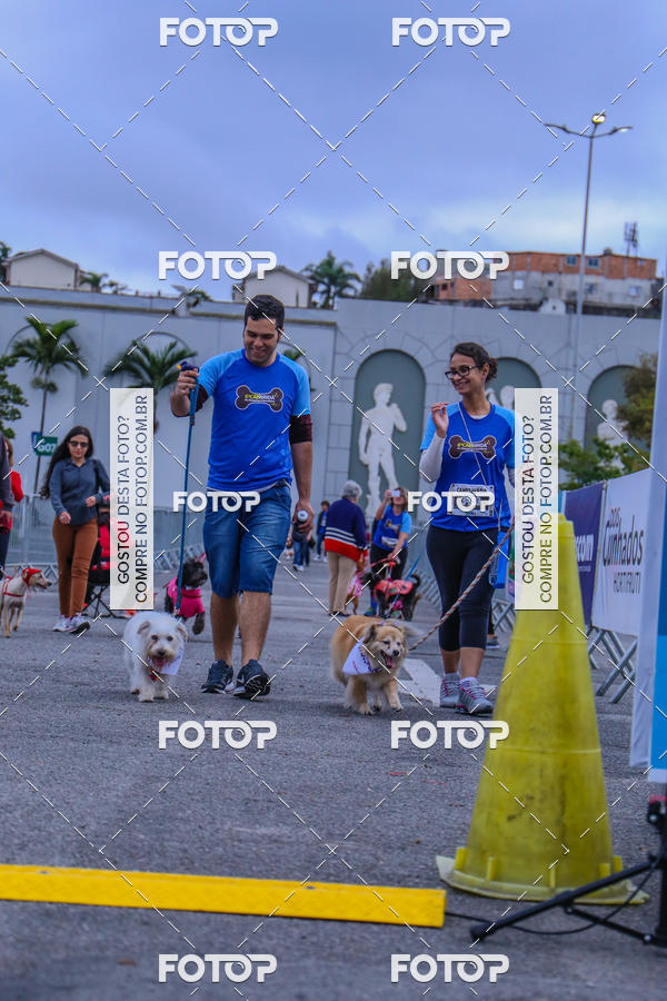 Buy your photos of the event6 Corrida do Shopping Aricanduva on Fotop