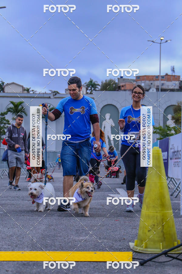 Buy your photos of the event6 Corrida do Shopping Aricanduva on Fotop