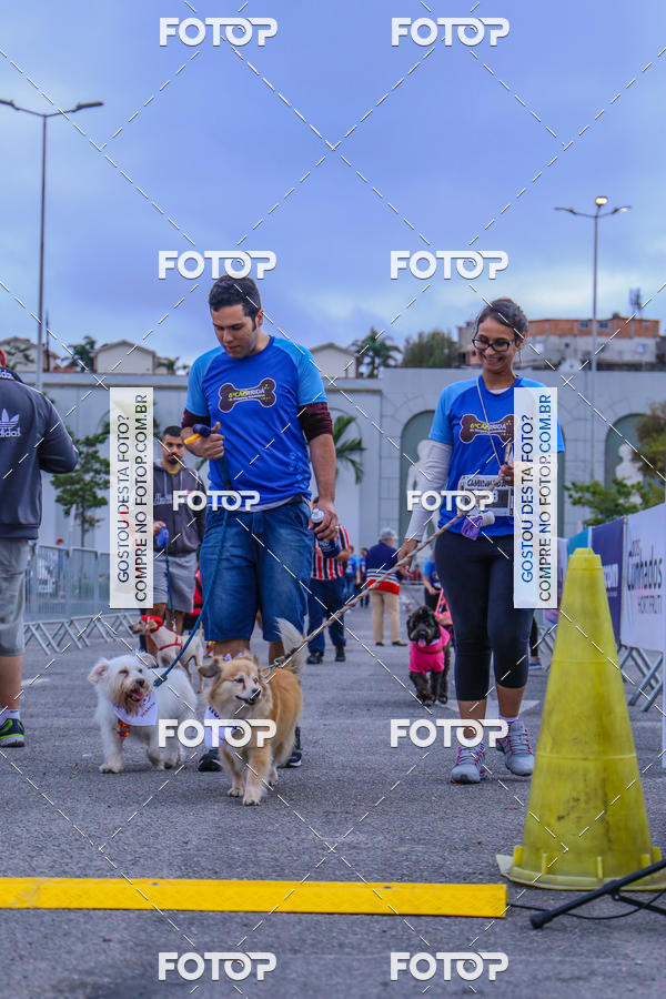 Buy your photos of the event6 Corrida do Shopping Aricanduva on Fotop