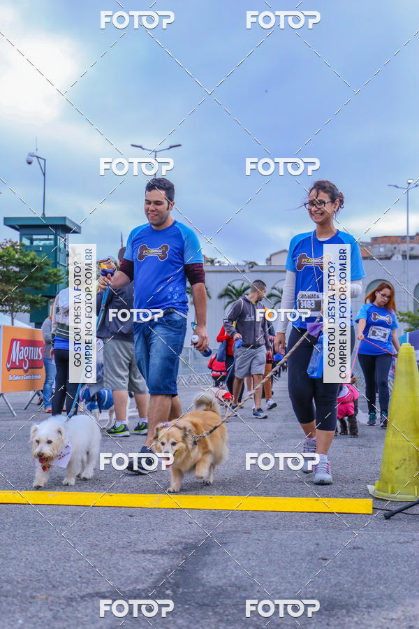 Buy your photos of the event6 Corrida do Shopping Aricanduva on Fotop