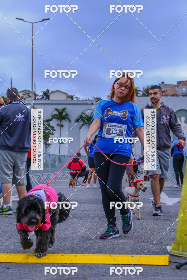 Buy your photos of the event6 Corrida do Shopping Aricanduva on Fotop
