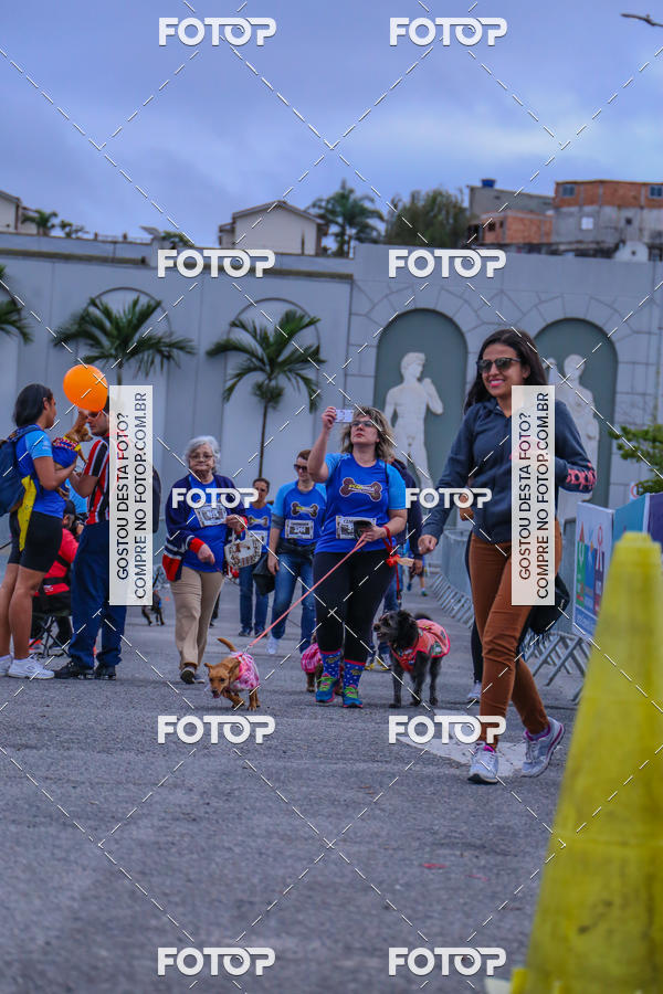 Buy your photos of the event6 Corrida do Shopping Aricanduva on Fotop