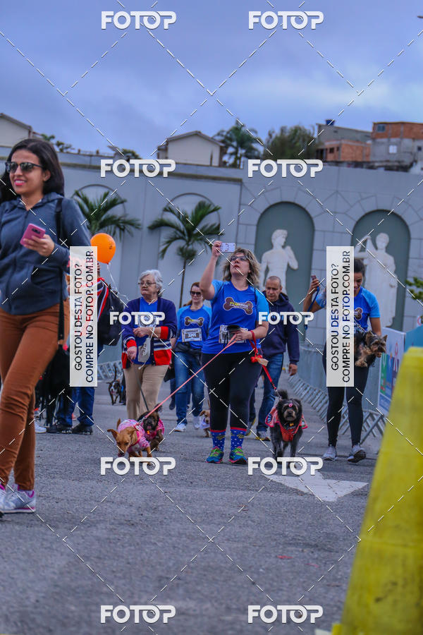 Buy your photos of the event6 Corrida do Shopping Aricanduva on Fotop