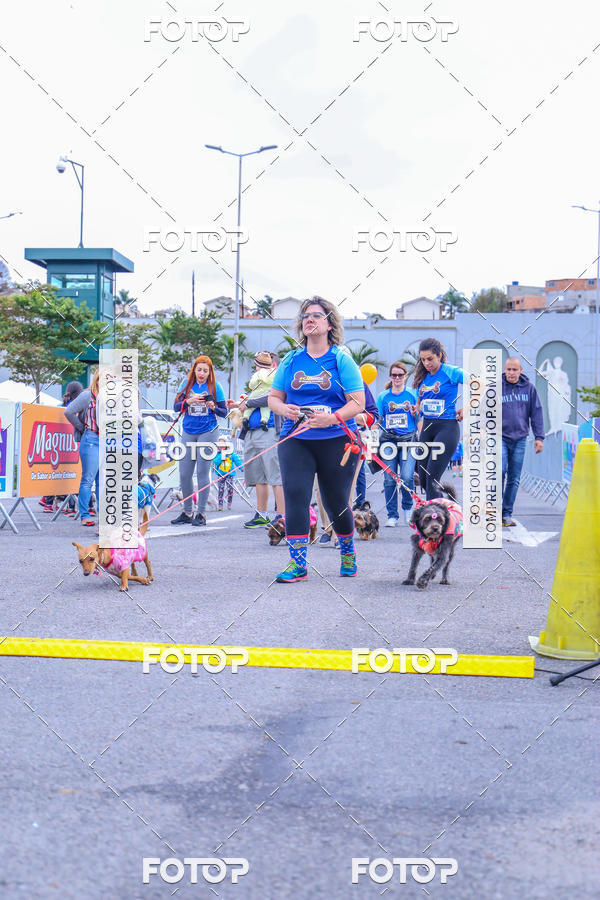 Buy your photos of the event6 Corrida do Shopping Aricanduva on Fotop