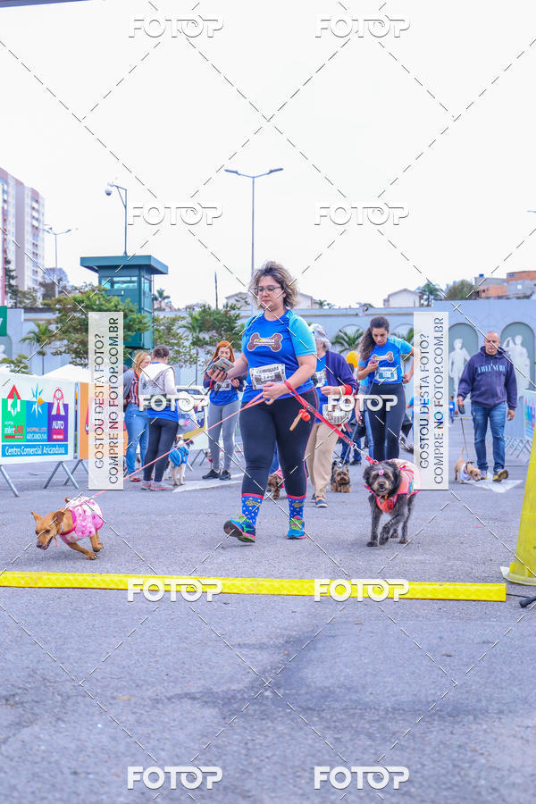 Buy your photos of the event6 Corrida do Shopping Aricanduva on Fotop