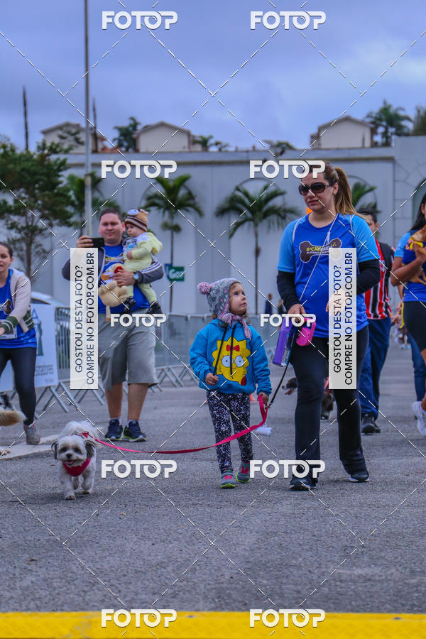 Buy your photos of the event6 Corrida do Shopping Aricanduva on Fotop