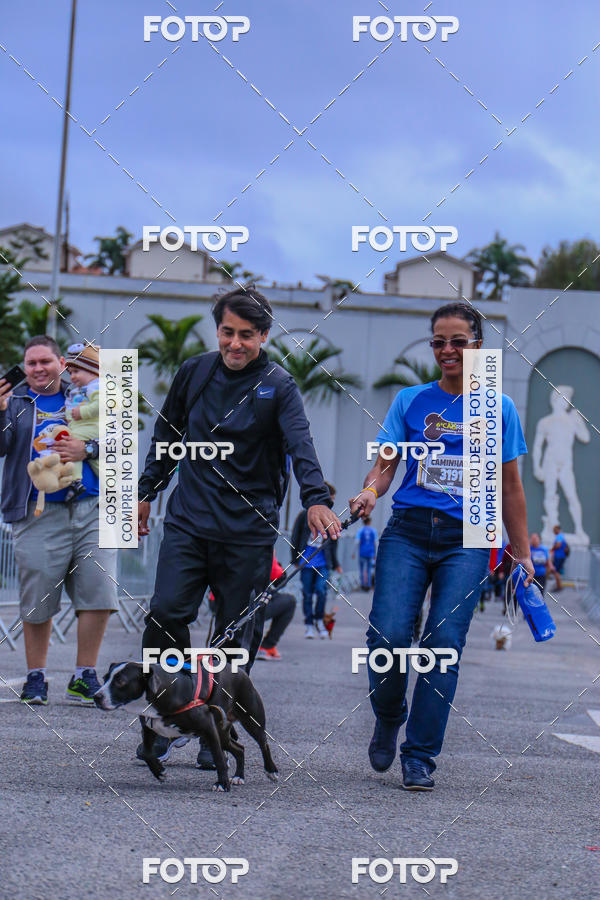 Buy your photos of the event6 Corrida do Shopping Aricanduva on Fotop