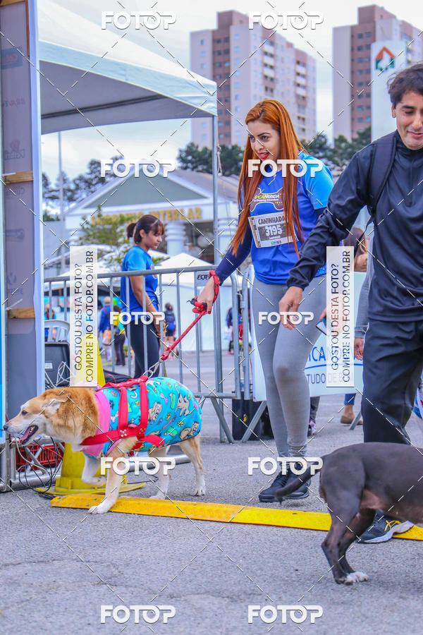 Buy your photos of the event6 Corrida do Shopping Aricanduva on Fotop