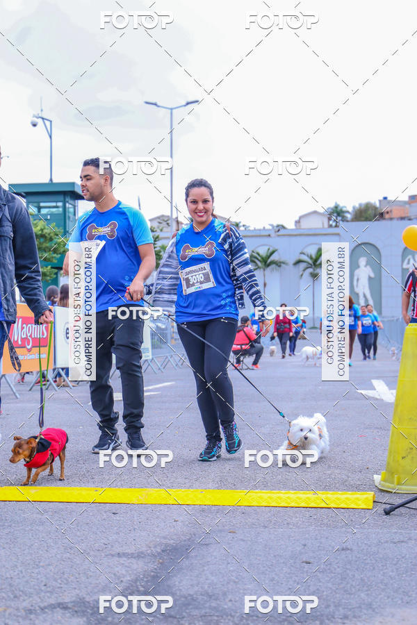 Buy your photos of the event6 Corrida do Shopping Aricanduva on Fotop