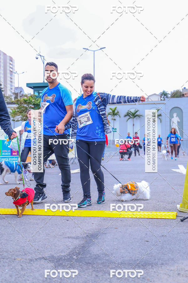 Buy your photos of the event6 Corrida do Shopping Aricanduva on Fotop