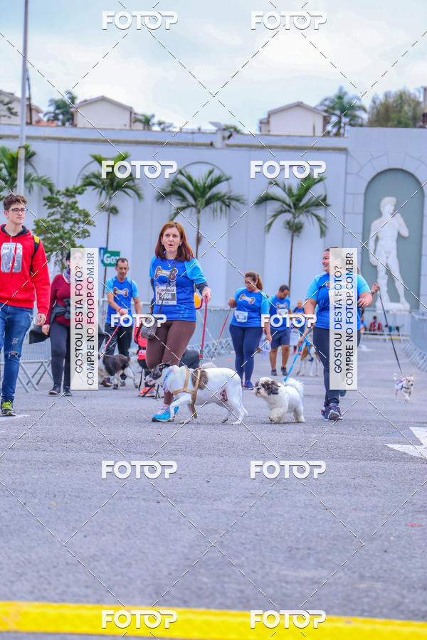 Buy your photos of the event6 Corrida do Shopping Aricanduva on Fotop