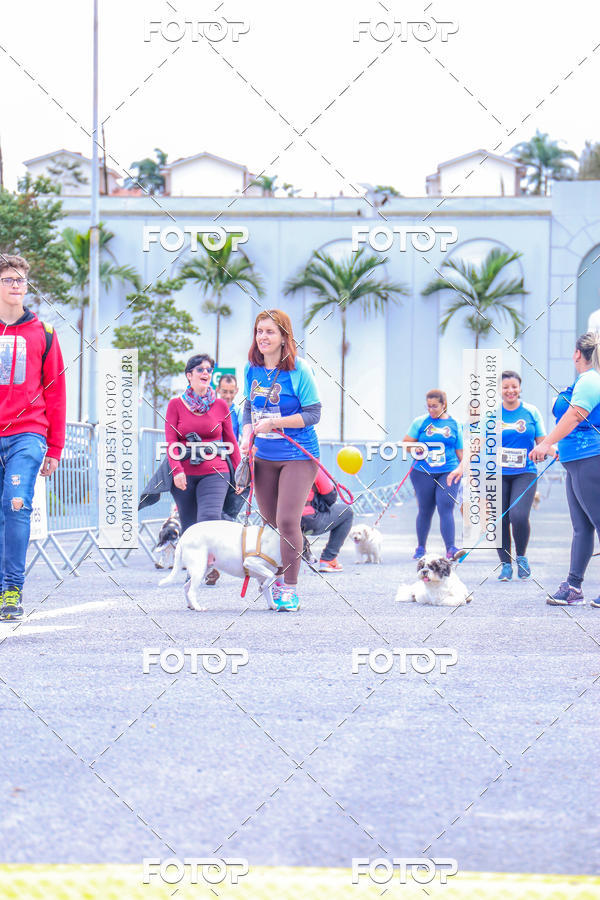 Buy your photos of the event6 Corrida do Shopping Aricanduva on Fotop