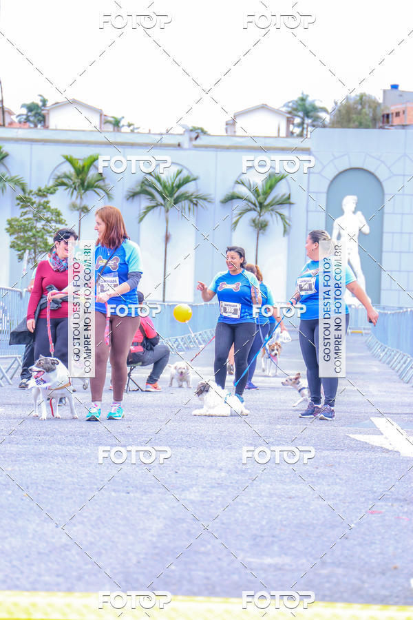 Buy your photos of the event6 Corrida do Shopping Aricanduva on Fotop