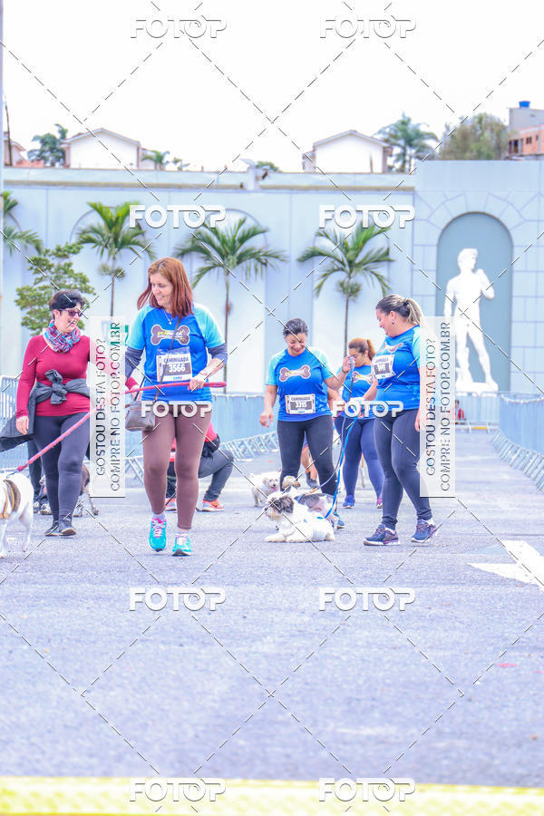 Buy your photos of the event6 Corrida do Shopping Aricanduva on Fotop
