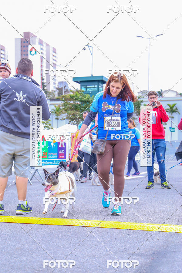 Buy your photos of the event6 Corrida do Shopping Aricanduva on Fotop