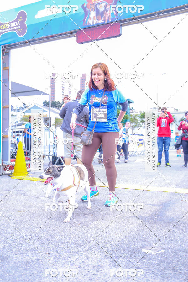 Buy your photos of the event6 Corrida do Shopping Aricanduva on Fotop