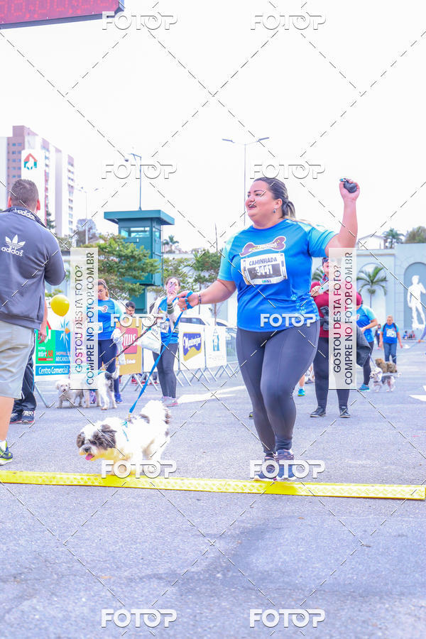Buy your photos of the event6 Corrida do Shopping Aricanduva on Fotop