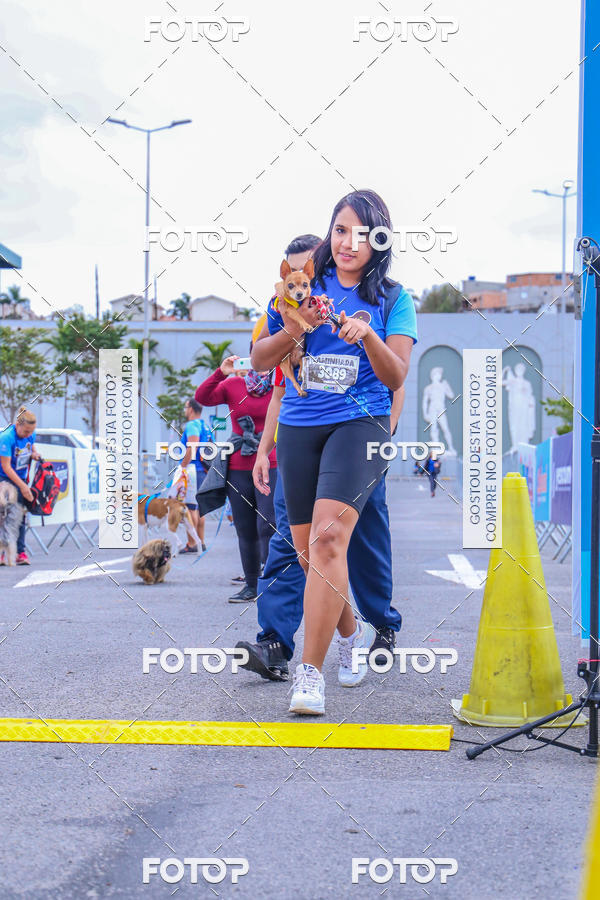 Buy your photos of the event6 Corrida do Shopping Aricanduva on Fotop