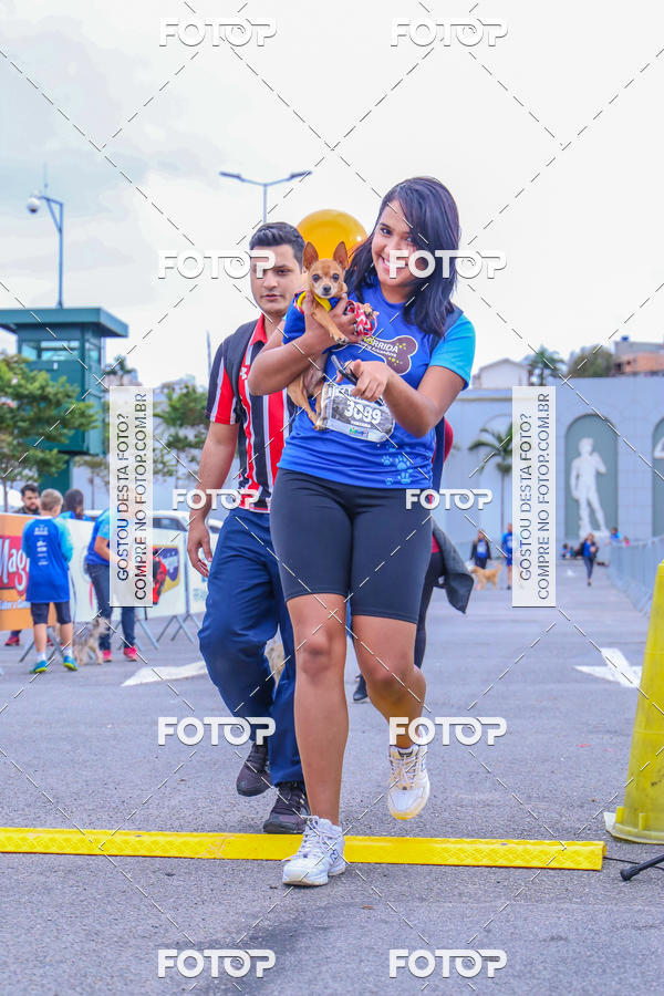 Buy your photos of the event6 Corrida do Shopping Aricanduva on Fotop