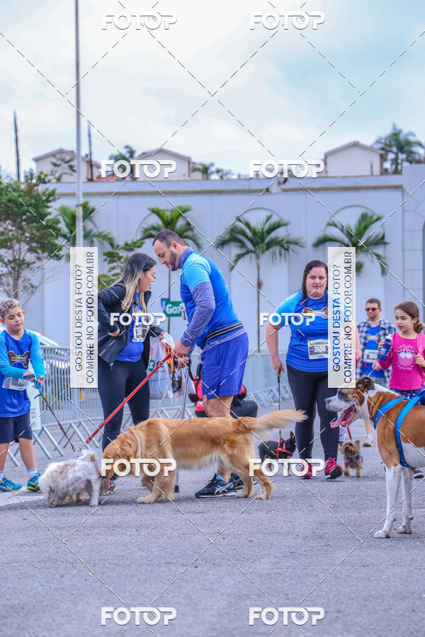 Buy your photos of the event6 Corrida do Shopping Aricanduva on Fotop