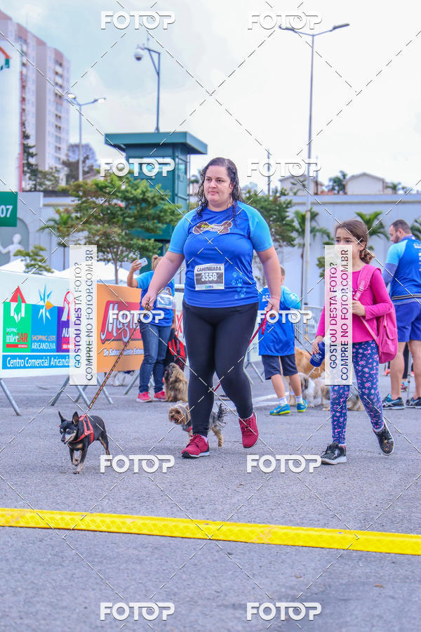 Buy your photos of the event6 Corrida do Shopping Aricanduva on Fotop