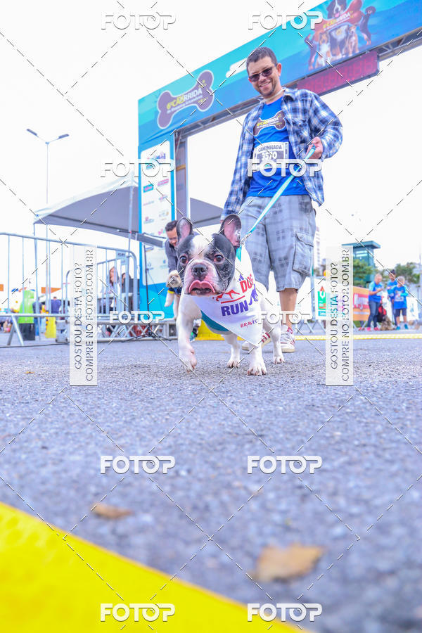 Buy your photos of the event6 Corrida do Shopping Aricanduva on Fotop