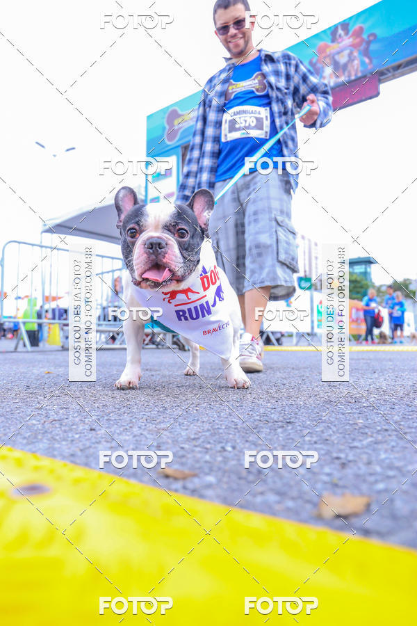 Buy your photos of the event6 Corrida do Shopping Aricanduva on Fotop