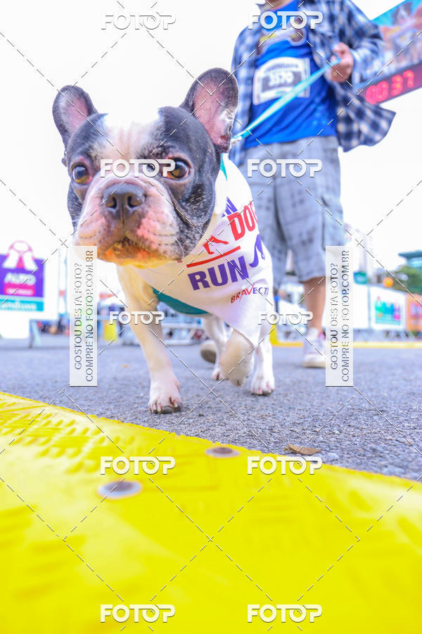 Buy your photos of the event6 Corrida do Shopping Aricanduva on Fotop