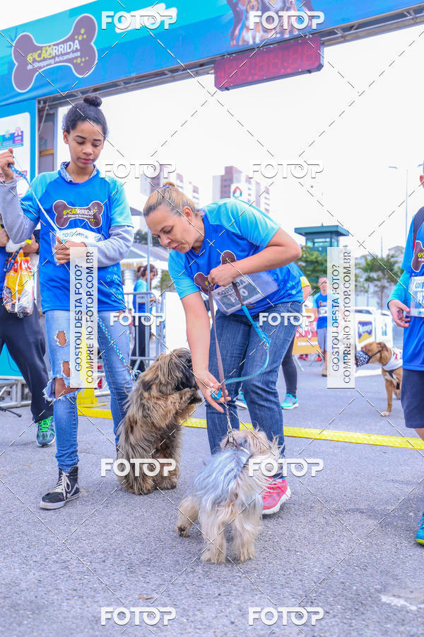 Buy your photos of the event6 Corrida do Shopping Aricanduva on Fotop