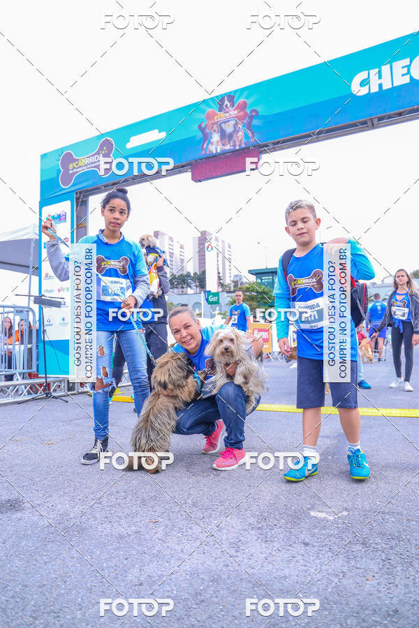 Buy your photos of the event6 Corrida do Shopping Aricanduva on Fotop