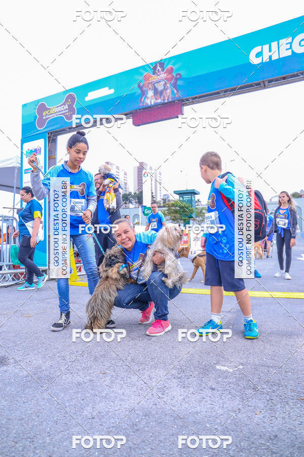 Buy your photos of the event6 Corrida do Shopping Aricanduva on Fotop